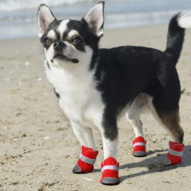Dog rain boots deals