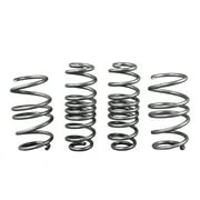 volkswagen golf r coil spring set