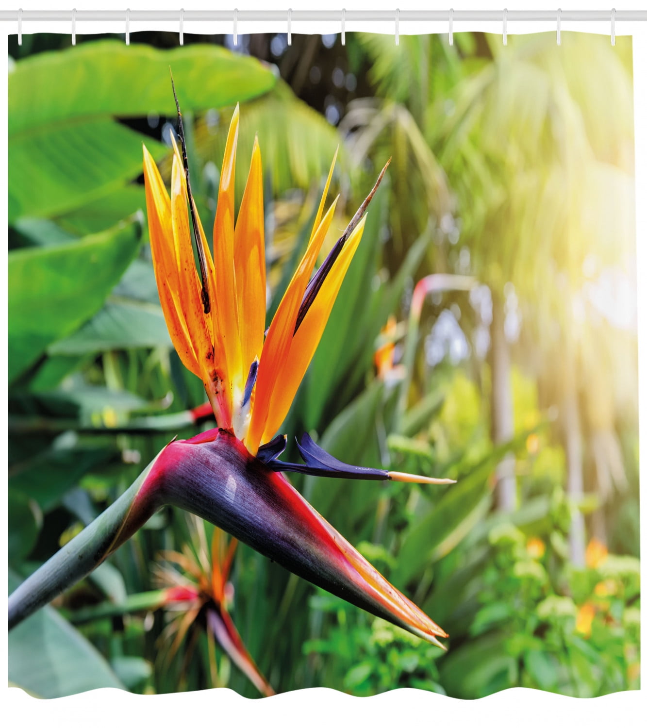 Plant Shower Curtain Close Up Image Of Strelitzia Reginae Bird Of