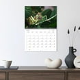thumbnail image 3 of Insect terraristics (Monthly Wall Calendar 2026 11.7 x 16.5 (open)), CALVENDO 14 Month Calendar, 3 of 9