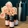 thumbnail image 4 of Traditions of Scent Rose Bloom Premium Fragrance Diffuser Oil Refills by Tinsel Traditions - Set of 3, 4 of 6