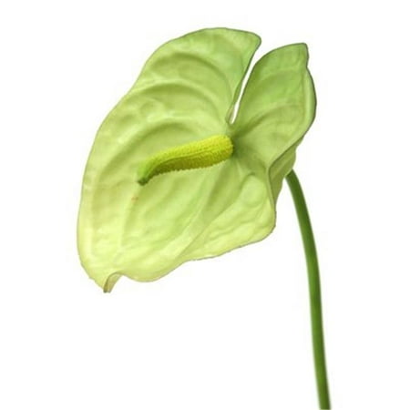 144 Green - Distinctive Designs DH-586-GR DIY Flower 31 in. L Artificial Green Anthurium Spray 144 per case - Pack of 12