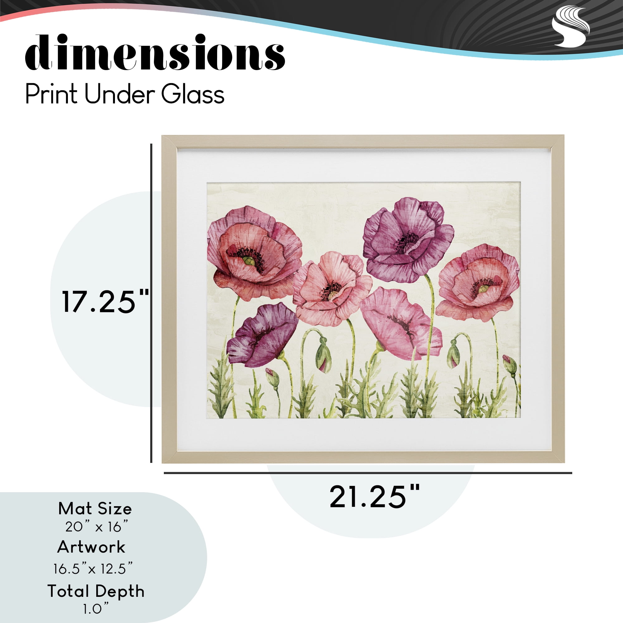 Stupell Industries Poppy Days Vintage Blooms Birch Framed Print Under Glass, design by Kim Allen