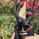 thumbnail image 4 of Tijeras para flores para cortar madera seca. Manijas ergonómicas, 4 of 5