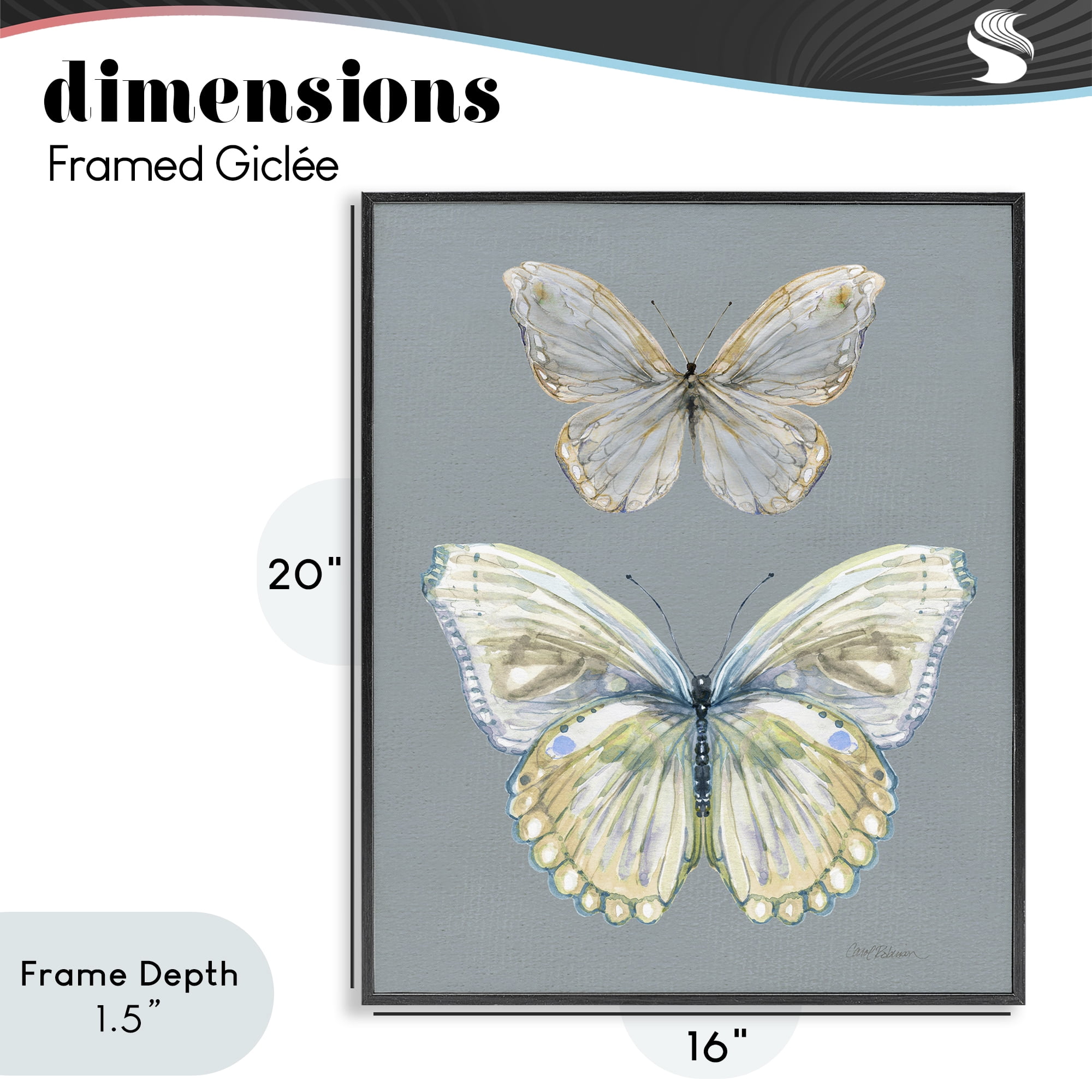 Stupell Industries Butterfly Pair Study Black Framed Giclee Art, design by Carol Robinson