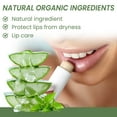 thumbnail image 5 of Aloe Lip Balm - Hydrating Organic Lipstick, Moisturizing Sheer Color, Soft Glossy Shine, Vegan Natural Ingredients, Daily Lip Care, Travel Friendly 4.7G, Gift for Women, Christmas Makeup Organizers, 5 of 9