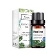thumbnail image 1 of Aroma Unilateral Natural Oil Aromatherapy 10ml Humidifier, 1 of 3