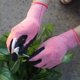 thumbnail image 4 of Guantes de jardinería dobles: recubiertos para evitar cortes Guantes pintados a mano para jardinería, pesca Ofspeizc CPB-US-DYP699-1, 4 of 5