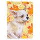 thumbnail image 1 of "Treasures BB9958GF Chihuahua Leg up Fall Bandera decorativa para exteriores, tamaño jardín, multicolor" Caroline's Treasures BB9958GF, 1 of 1