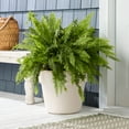 thumbnail image 2 of Mainstays Flint 14" x 18" x 14" Round Vanilla Dream Resin Planter, 2 of 6