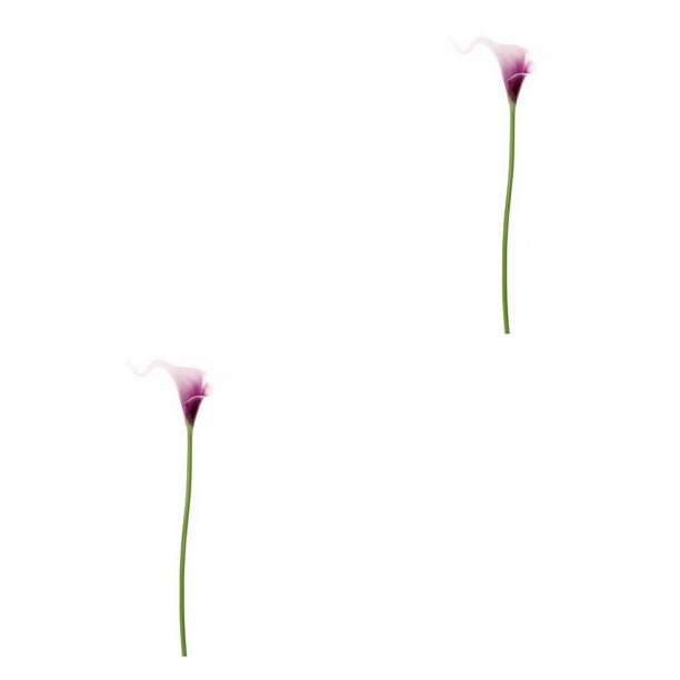 Flor artificial Toystoory lirio de cala 34cm blanco morado