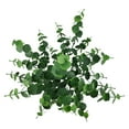 thumbnail image 5 of Mainstays 14in Indoor Artificial Eucalyptus Leaves Pick, Green Color. Weight 0.14lb, Pot Not Included., 5 of 9