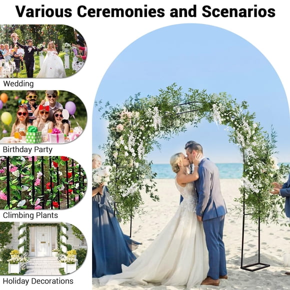 Sturdy Metal Garden Arch Trellis Arbor with Dome Design for Climbing Plants - 9.8ft x 7.2ft Pergola for Outdoor & Indoor Use - Wedding, Party, Entryway Decor - Easy Assembly - Color: Black