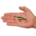 thumbnail image 4 of Berkley Ripfish, 7, Chrome Perch, 4 of 5