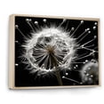thumbnail image 2 of Designart "White Black Dandelion II" Floral Floater Framed Wall Art Print, 2 of 7