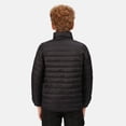 thumbnail image 2 of Regatta - Chaqueta Hillpack Acolchado para Niños/Niñas (Negro), 2 of 6