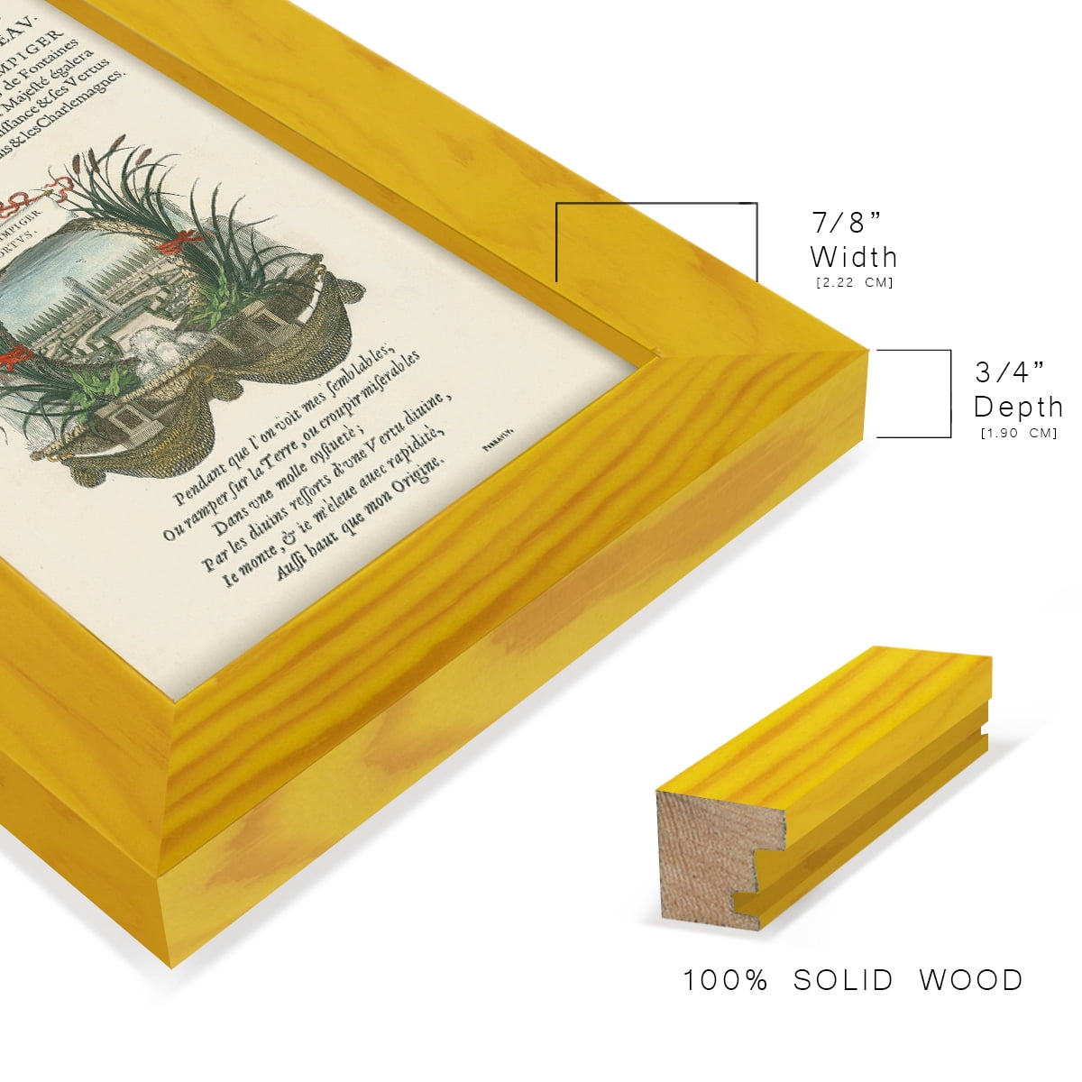 Printed Embellished Bookplate II - Framed Print w/glass - Sunflower Yellow