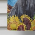 thumbnail image 4 of Carolines Treasures SC9073CHF Doberman Flag Canvas House Size, 4 of 4