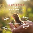 thumbnail image 2 of Manna Pro Medicated Chick Feed Formulated with Amprolium, 2 of 7