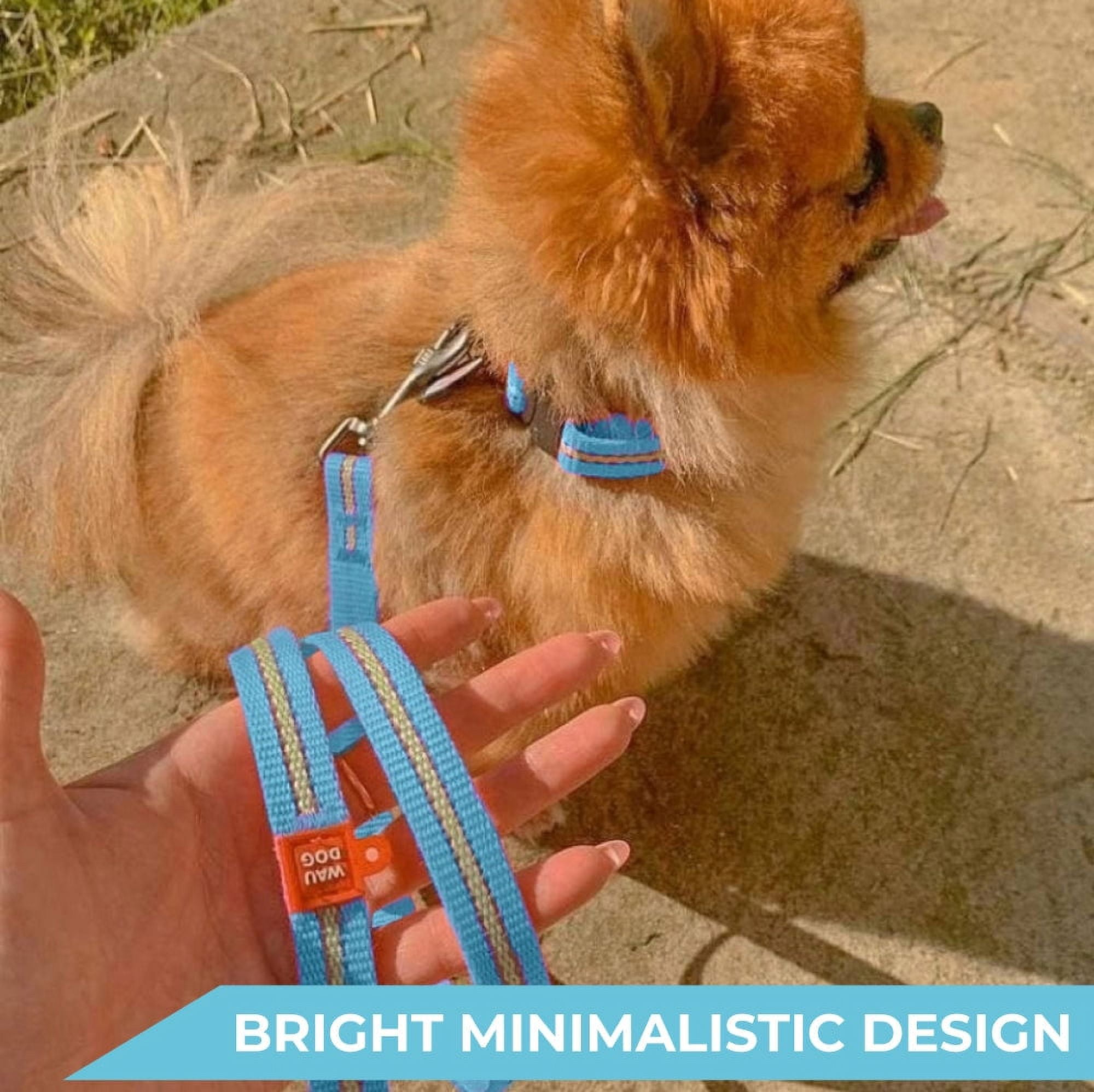 Nylon Reflective Dog Collar | Adjustable Dog Collar for Large, Small & Medium Dogs | Personalized Soft and Fashion Patterns Dog Collars | Boy & Girl Dog Collars with Durable Plastic Buckle - Purple