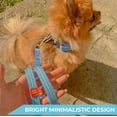 thumbnail image 3 of Nylon Reflective Dog Collar | Adjustable Dog Collar for Large, Small & Medium Dogs | Personalized Soft and Fashion Patterns Dog Collars | Boy & Girl Dog Collars with Durable Plastic Buckle - Blue, 3 of 8