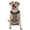 With Accessories, variant on Vsdgher Excavator At Work Pattern Dog Harness,No Pull Pet Harness with Soft Padded Handle,Adjustable Reflective Vest with 2 Buckles,4 Slide Buckles,S-XL Medium