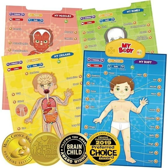 BEST LEARNING Interactive Human Body Poster – Talking Anatomy STEM Toy for Kids Ages 5-12 Top Christmas Gift