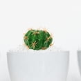 thumbnail image 4 of QUMIIRITY Planta Artificial Tropical Verde De Plástico Para Embellecer Espacios Interiores, 4 of 8