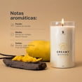 thumbnail image 3 of Vela De Soya Aromática | 600 g | Aroma Mango | Duración 120 horas | Cera Para Masaje | B Life., 3 of 7