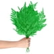 thumbnail image 1 of Paquete de 10 helechos, 15" vegetación natural seca con tallos para manualidades de resina, decoraciones de boda en casa, plantas secas [Verde], 1 of 1