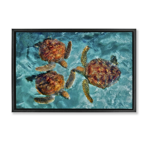 Stupell Industries Swimming Tortoise Trio Animals & Insects Painting Black Floater Framed Canvas Art Print Wall Art, 25 x 17