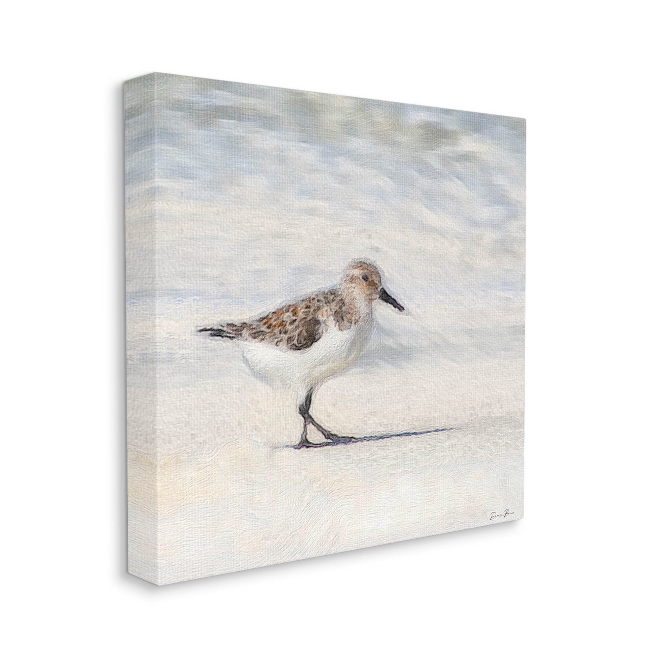 Stupell Industries Sandpiper Bird Stepping Beach Sand Graphic Art Gallery Wrapped Canvas Print Wall Art, Design by Denise Brown