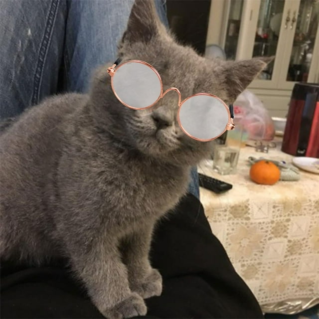 Lunettes de Soleil Mignonnes et Cool pour Animaux de Compagnie Accessoires de Lunettes de Soleil pour Chien et Chat Mode Fête Accessoires Mignons pour Animaux de Compagnie Accessoires de Randonnée pour Chiens Lunettes Assorties pour Chien et Propriétaire Chapeau Haut de Forme pour Petit Chien avec Sangle Couvre-oreilles pour Chien