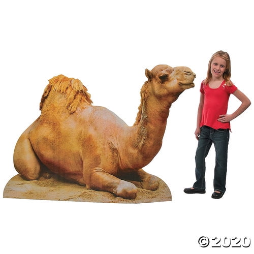 Realistic Camel Cardboard StandUp