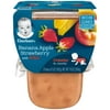 (4 Pack) Gerber 3rd Foods Lil' Bits Banana Apple Strawberry Baby Food, 5 oz. Tubs, 2 Count (4 pack)