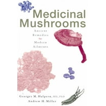 Medicinal Mushrooms: Ancient Remedies for Modern Ailments, (Paperback)