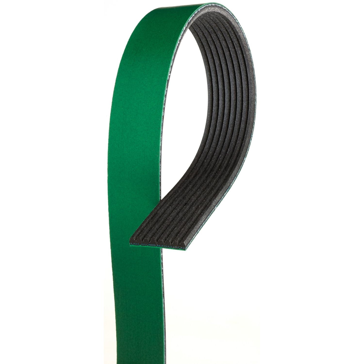 Serpentine Belt