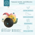 thumbnail image 2 of Set de esponjas Konjac Bare Essentials Living con carbón activado, 2 of 7