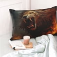 thumbnail image 4 of Honeii Cool Flame Lion A Print Pillow Cases,Plush Throw Pillow Covers,Decorative Pillowcase for Sofa, Couch, Living Room-20"x30", 4 of 6