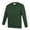 Emerald, variant on AWDis Academy Boys/Girls Crew Neck Raglan School Sweatshirt (Pack of 2)
