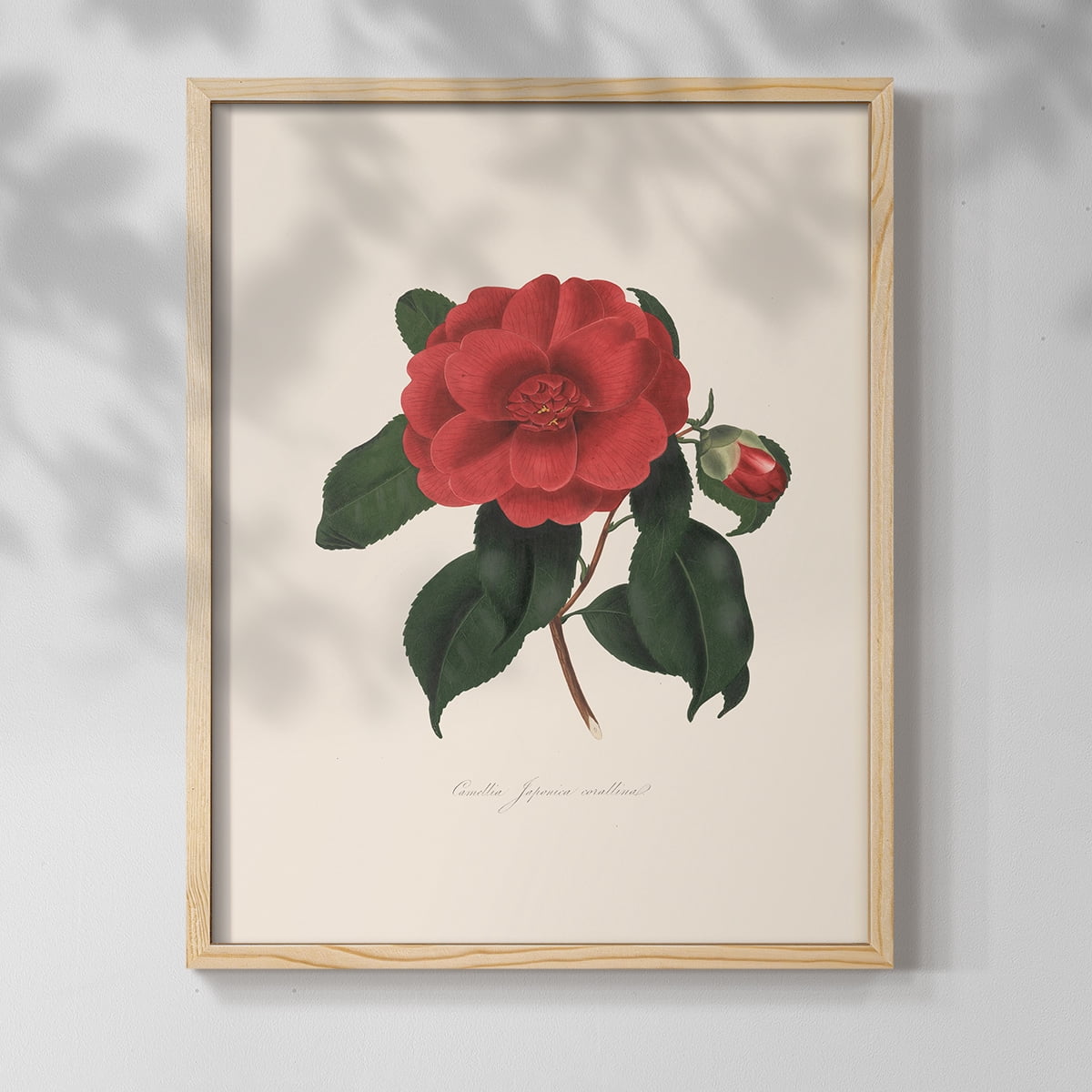 Vintage Floral Print CXCIII - 10in. x 8in. Vintage Framed Print in Natural Wood Frame