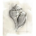 thumbnail image 2 of Meagher, Megan 26x30 White Modern Wood Framed Museum Art Print Titled - Shell Schematic I, 2 of 4