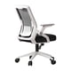 thumbnail image 1 of Silla de Oficina Ergonómica para Adultos con Soporte Lumbar y Brazos Abatibles para Hogar y Oficina Negra, 1 of 7
