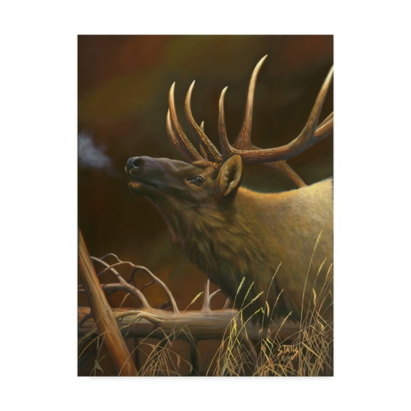Trademark Fine Art 'Elk Portrait I' Canvas Art by Leo Stans