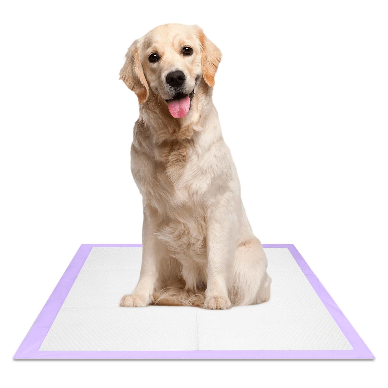 Petfamily Dog Training Pads, Puppy Pads, Super Absorbent, XL, 26 in x 30 in, 40 Count