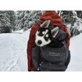 thumbnail image 2 of Outward Hound Sac à Dos Pochette pour Petit Chien, Gris, 2 of 7
