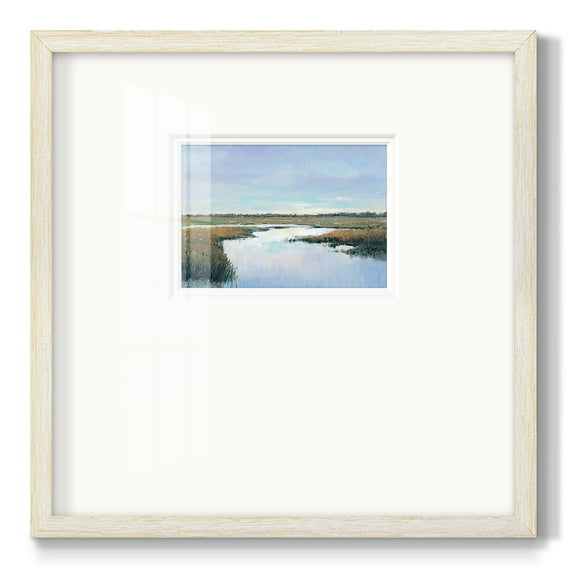 Coastal Plains IPremium Framed Print