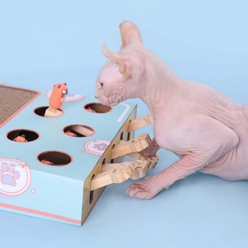 Cat Enrichment Toys for Indoor Cats, Whack a Mole Game Cat Puzzle Toy, Safe  Fun Box Paws Scratcher, Interactive Box Catch Mice Game Cat Puzzle Toy for