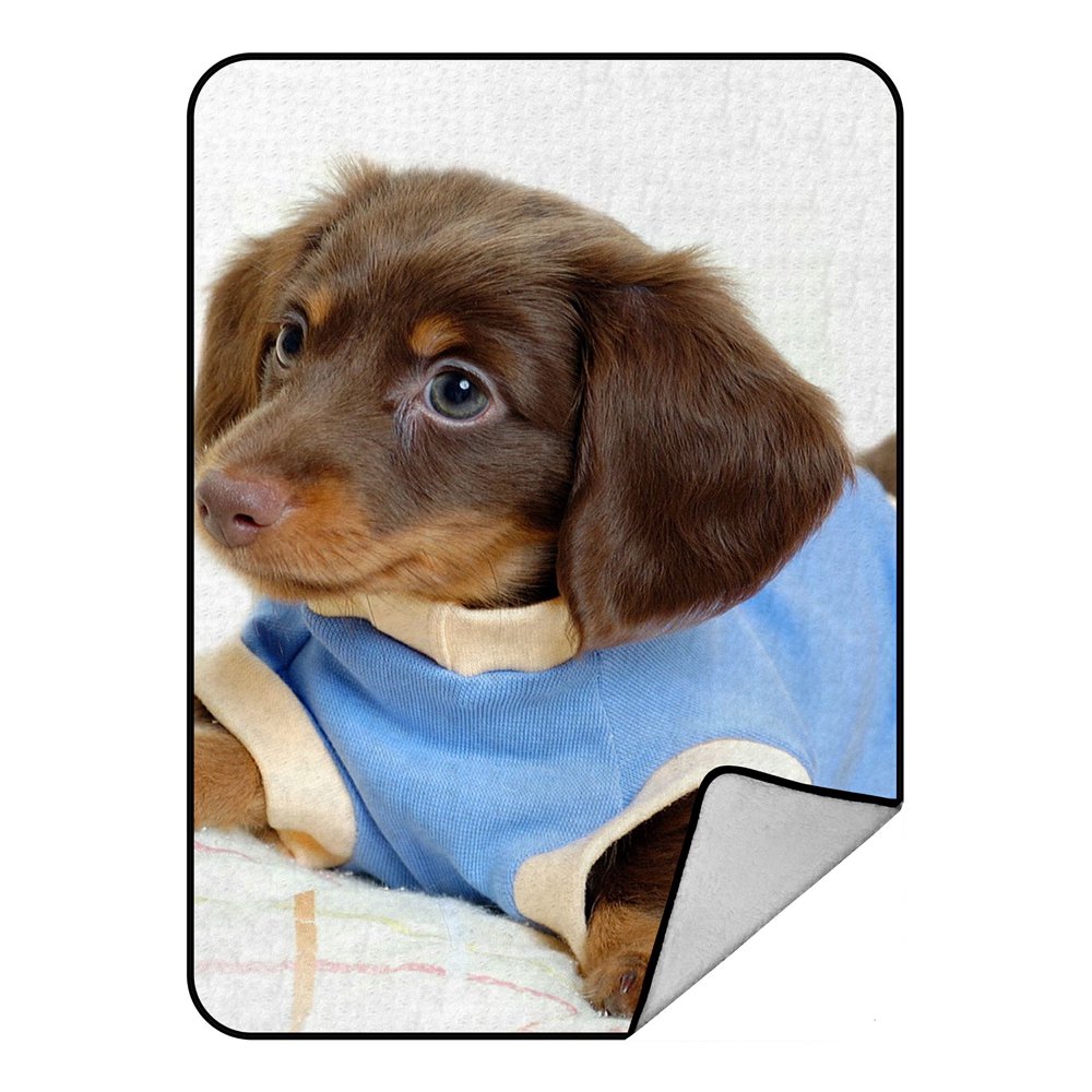 ZKGK Dachshund Blanket Crystal Velvet Front and Lambswool Sherpa Fleece