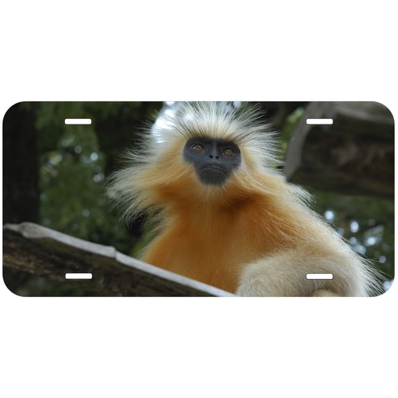 Monkey TAG05 Novelty Car Auto License Plate